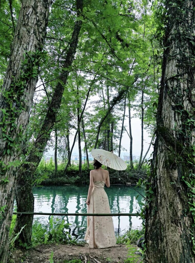 Image #1 from Emily Zhang